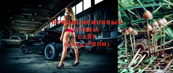 мяу мяу мука Заволжск