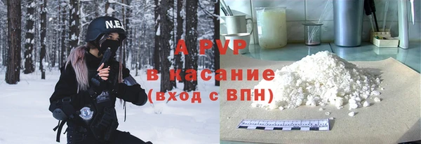 сатива Елабуга