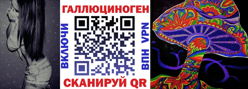 Галлюциногенные грибы Psilocybe  дарк нет клад  Зерноград 