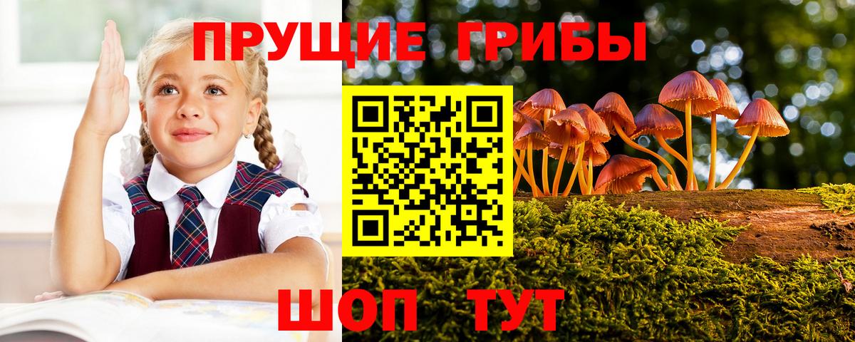 Галлюциногенные грибы Psilocybe  Вход с VPN  Галлюциногенные грибы MAGIC MUSHROOMS  Зерноград 